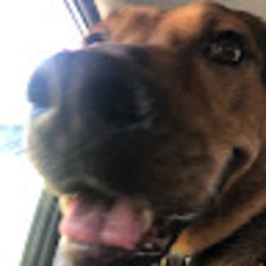 Meet your Posher, Sean